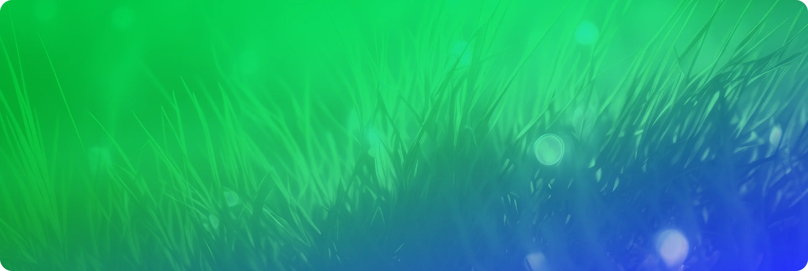 bg-image